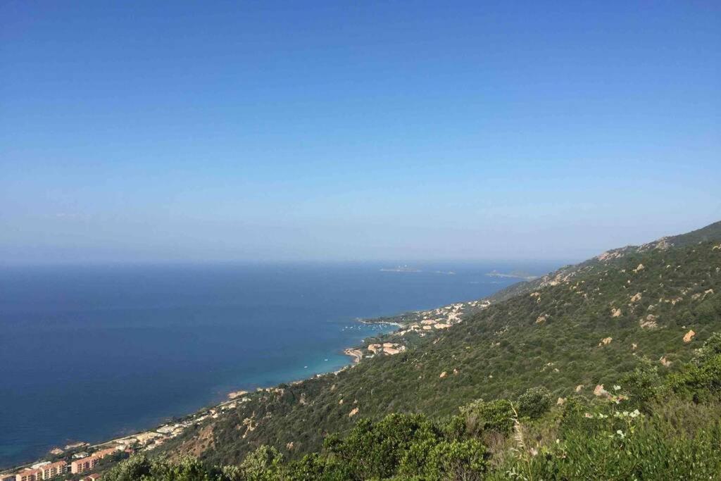 Ajaccio Magnifique T2 Neuf 40M2 Avec Balcon Au Trottel 4 Couchages Wifi Clim Parking Plage A Pieds 100M Экстерьер фото