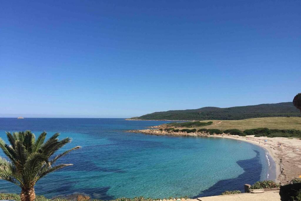 Ajaccio Magnifique T2 Neuf 40M2 Avec Balcon Au Trottel 4 Couchages Wifi Clim Parking Plage A Pieds 100M Экстерьер фото