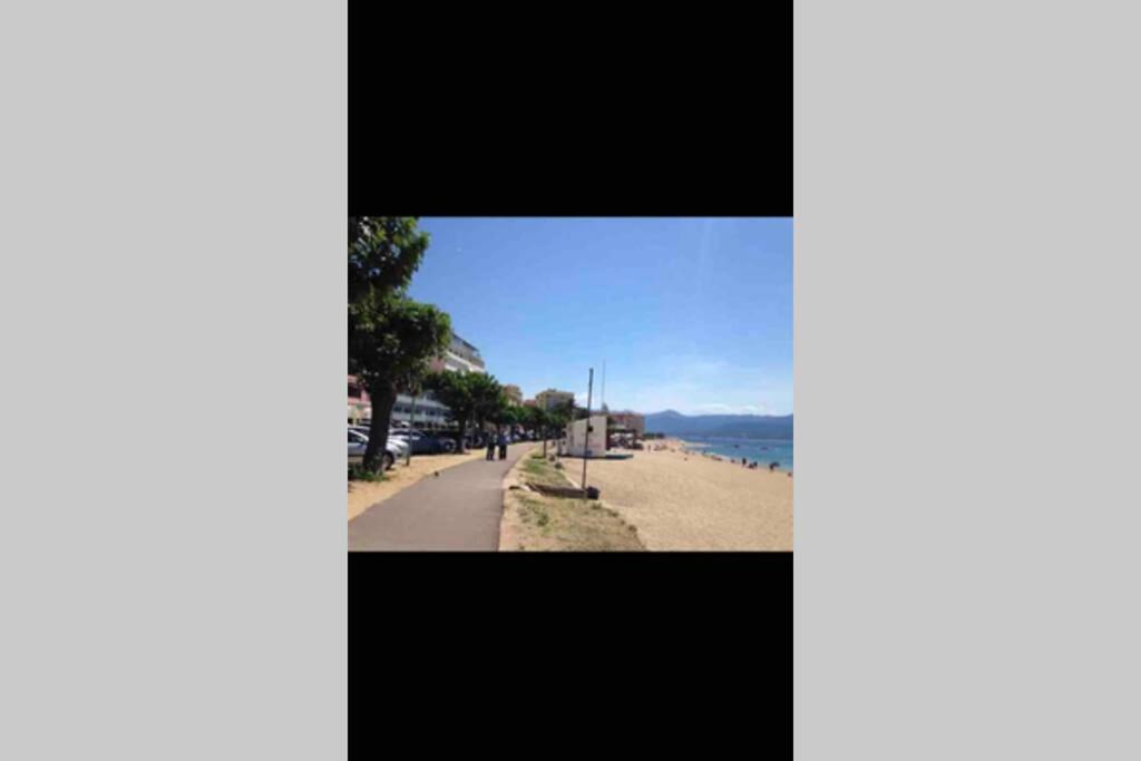 Ajaccio Magnifique T2 Neuf 40M2 Avec Balcon Au Trottel 4 Couchages Wifi Clim Parking Plage A Pieds 100M Экстерьер фото