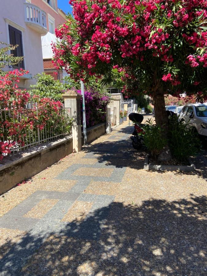 Ajaccio Magnifique T2 Neuf 40M2 Avec Balcon Au Trottel 4 Couchages Wifi Clim Parking Plage A Pieds 100M Экстерьер фото