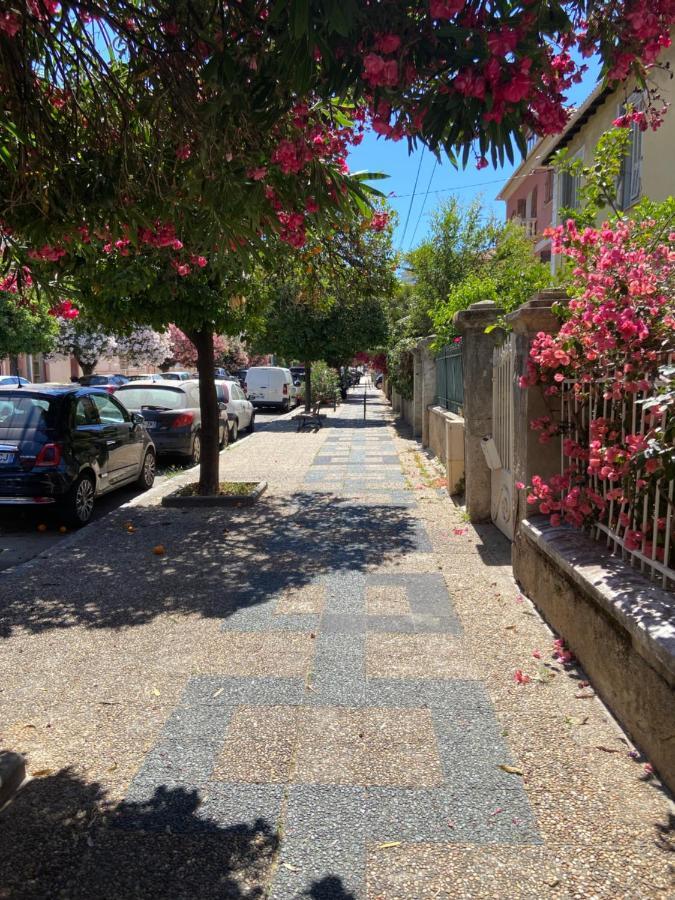 Ajaccio Magnifique T2 Neuf 40M2 Avec Balcon Au Trottel 4 Couchages Wifi Clim Parking Plage A Pieds 100M Экстерьер фото
